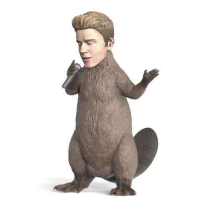 Justin Beaver