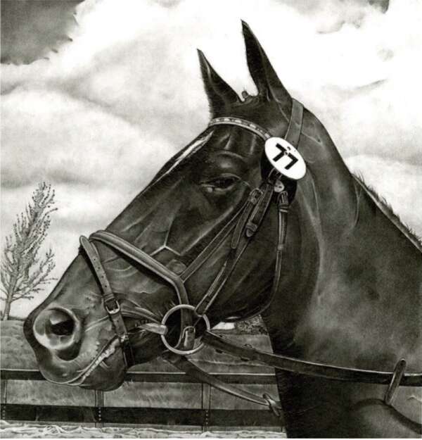 Horse Drawing