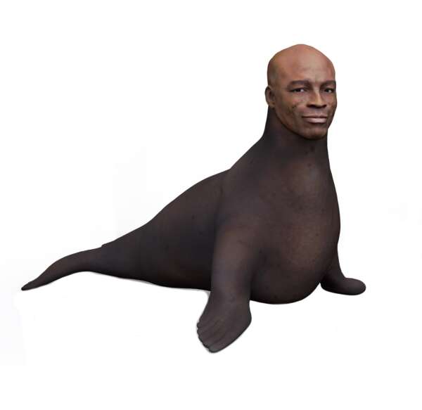 Seal
