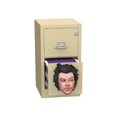 Harry Files