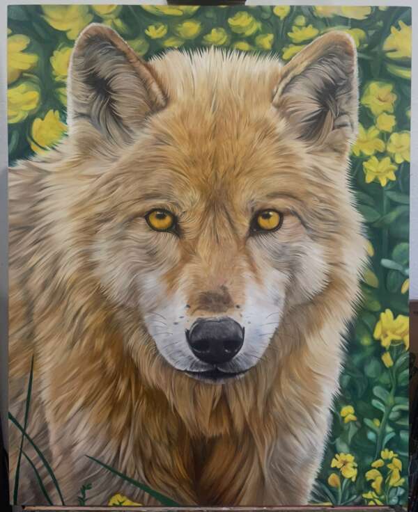 Yellow Wolf