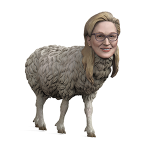 Meryl Sheep